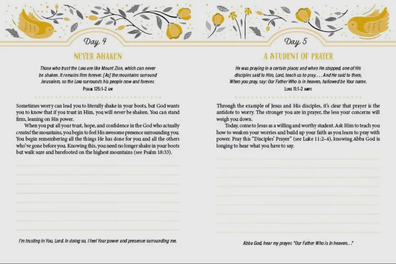 Worry Less, Pray More devotional Journal